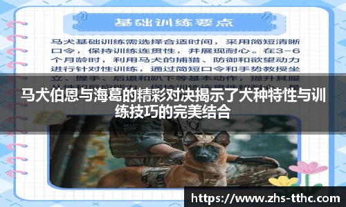 马犬伯恩与海葛的精彩对决揭示了犬种特性与训练技巧的完美结合